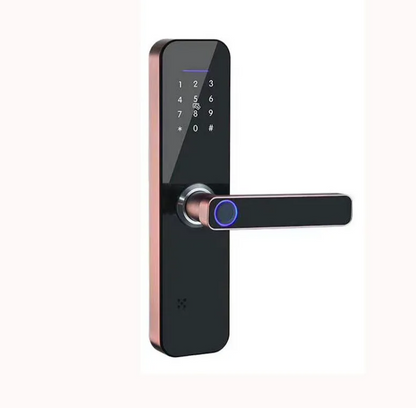Serrure Électronique à Combinaison